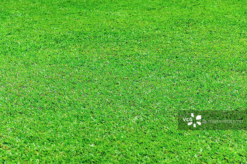 绿色草坪背景图片素材