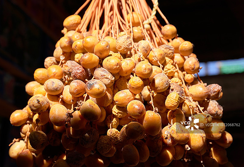 海枣果实图片素材