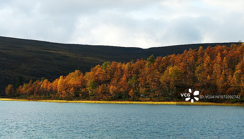 劳图兰皮小屋的宁静秋景图片素材