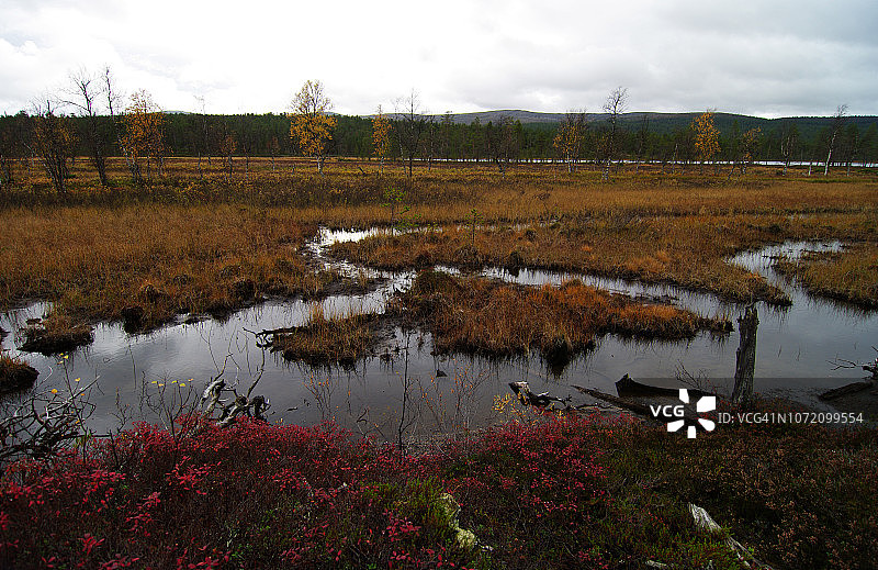 Kiertämäjärvi湖岸边宁静的秋景图片素材