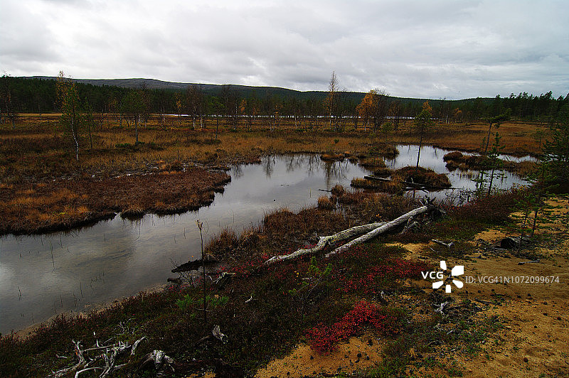 Kiertämäjärvi湖岸边宁静的秋景图片素材