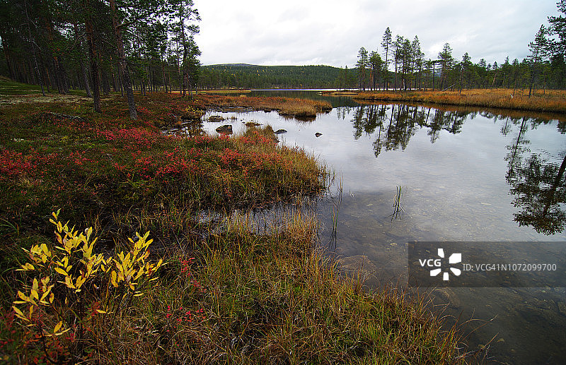 Kiertämäjärvi湖岸边宁静的秋景图片素材