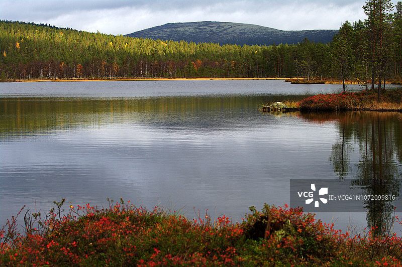 Kiertämäjärvi湖岸边宁静的秋景图片素材