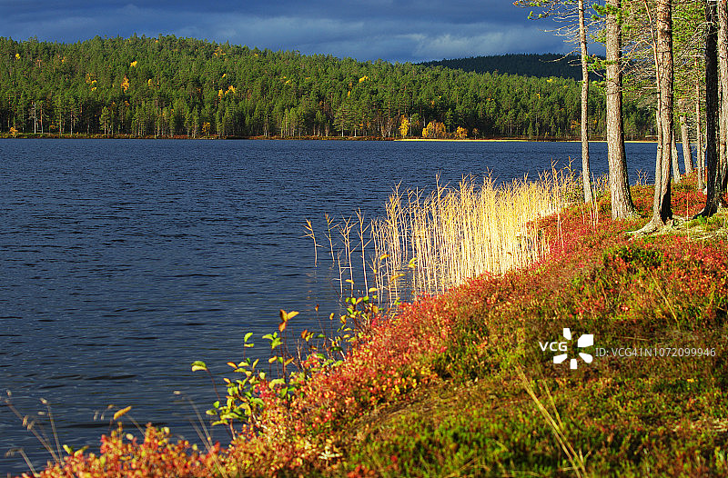 Kiertämäjärvi湖岸边宁静的秋景图片素材