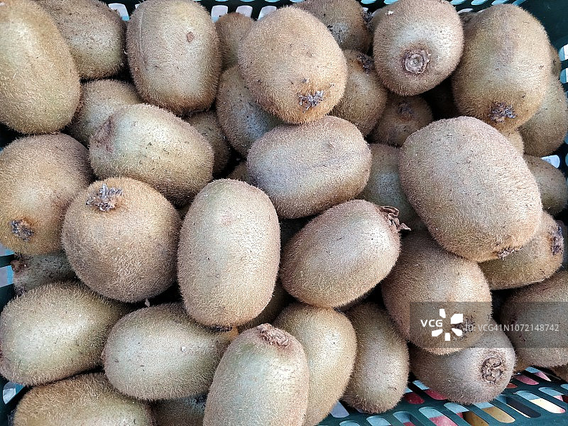 猕猴桃特写图片素材