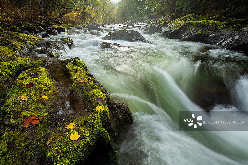 华盛顿州奥林匹克国家公园索尔杜克河秋景图片素材