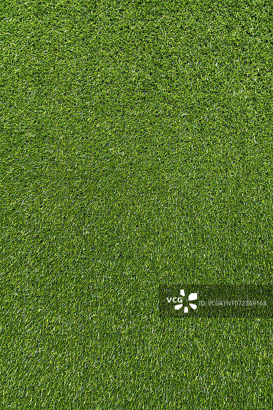 绿草的背景图片素材