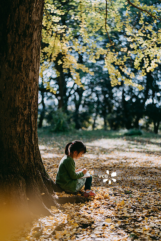 秋天坐在树下看书的可爱4岁女孩图片素材