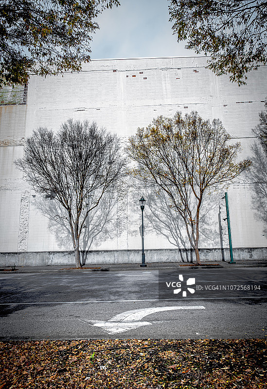 树木艺术素材图片素材