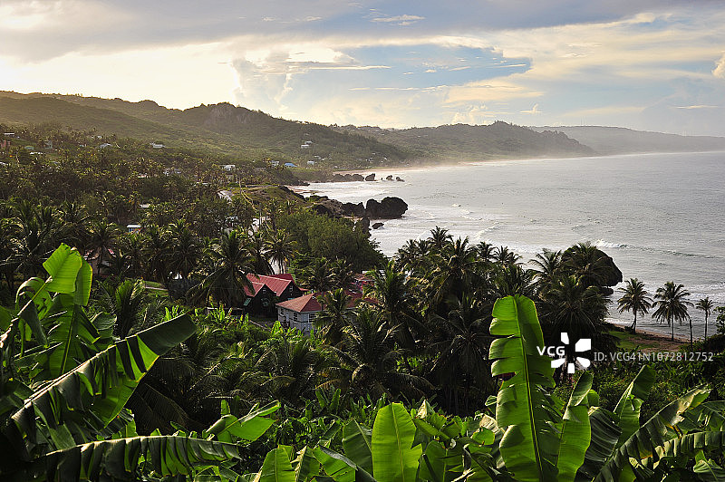 茂盛的乡村和巴巴多斯巴特谢巴村图片素材
