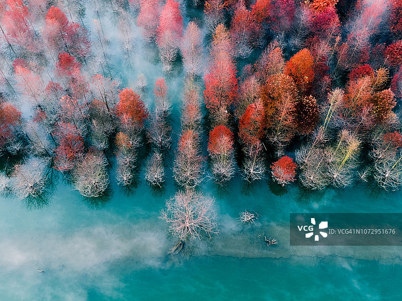 秋叶鸟瞰图图片素材