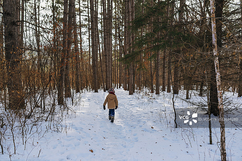 男孩在美国的冬季森林中行走图片素材