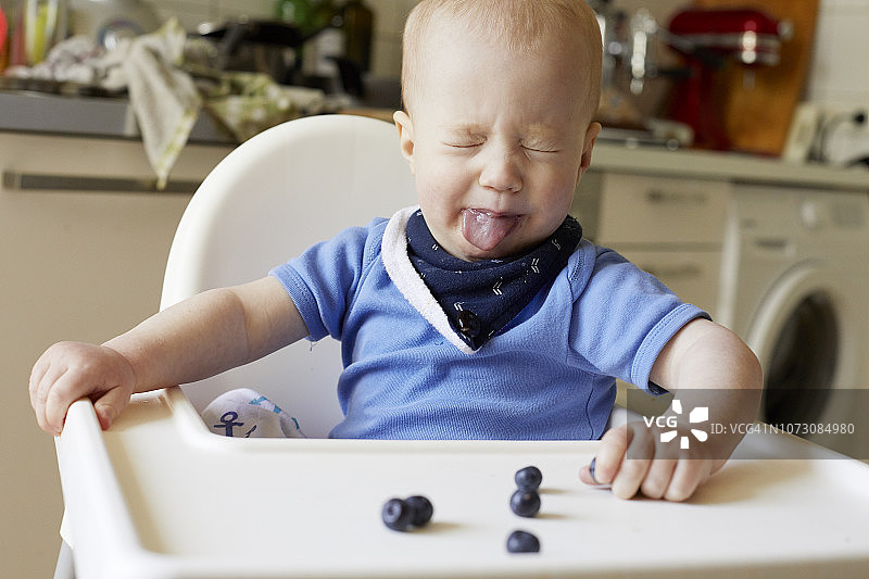 宝宝在高脚椅上对着蓝莓吐舌头图片素材