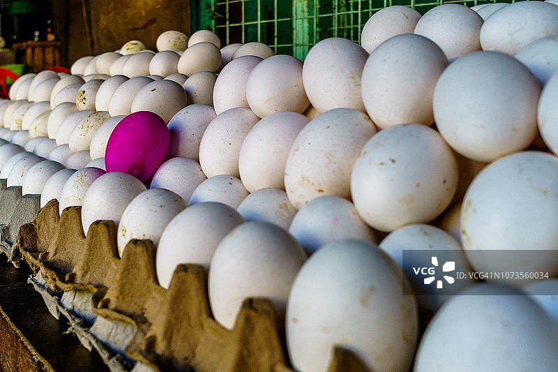 脱颖而出图片素材