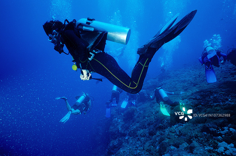 一群潜水员在脆弱的热带珊瑚礁上游弋。图片素材