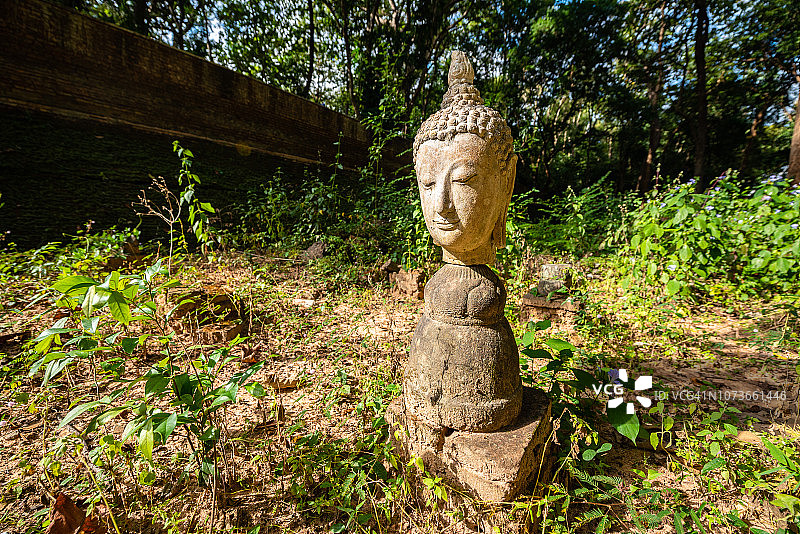 泰国清迈乌蒙寺（佛像公园）的佛头图片素材