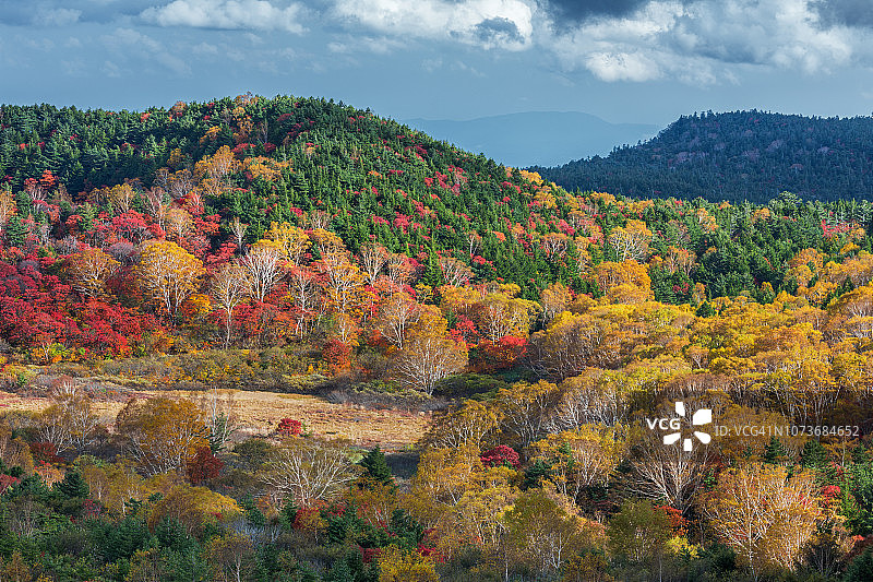 日本福岛磐梯吾妻天际线的浄土平图片素材