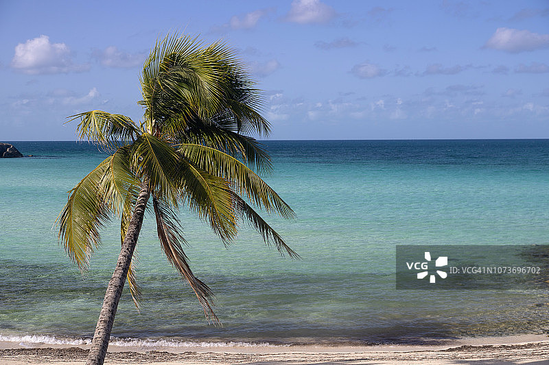 巴哈马伊柳塞拉岛彩虹海滩图片素材