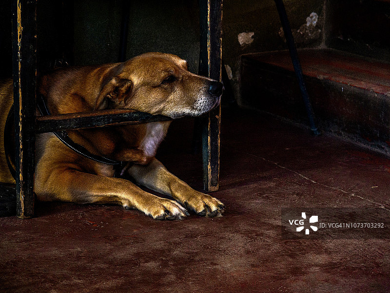 南非西开普省图片素材