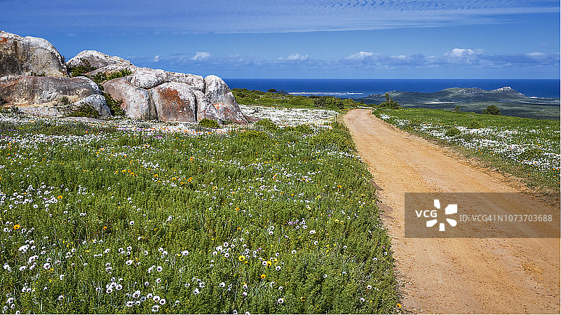 南非西开普省西海岸国家公园图片素材