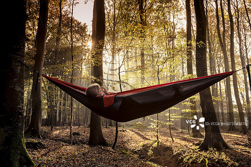 树林中的吊床图片素材