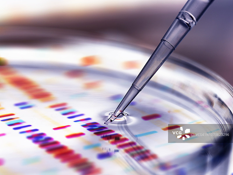 用移液器向培养皿中添加样本，背景为DNA图谱图片素材