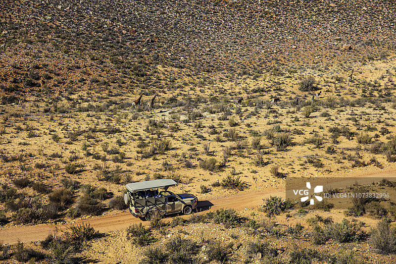 在南非西开普省图斯河公园内行驶的Jeep图片素材