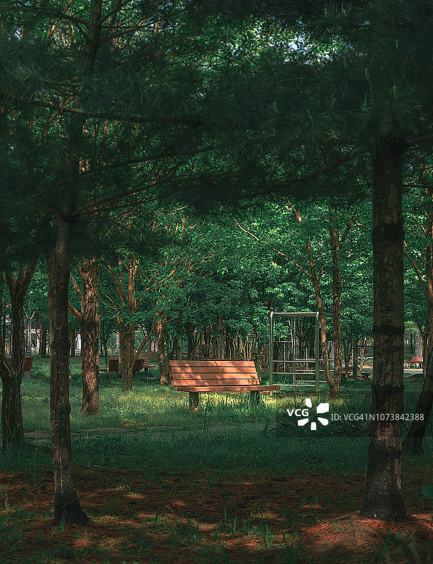 公园里的椅子和灯光图片素材