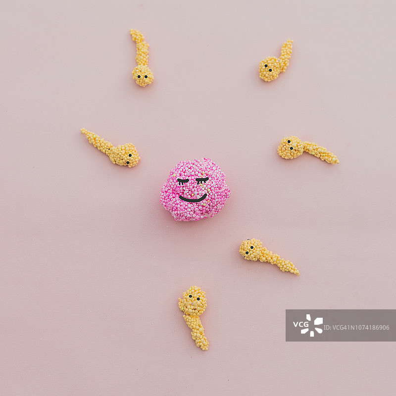 准备使卵子受精的精子细胞，新生命图片素材