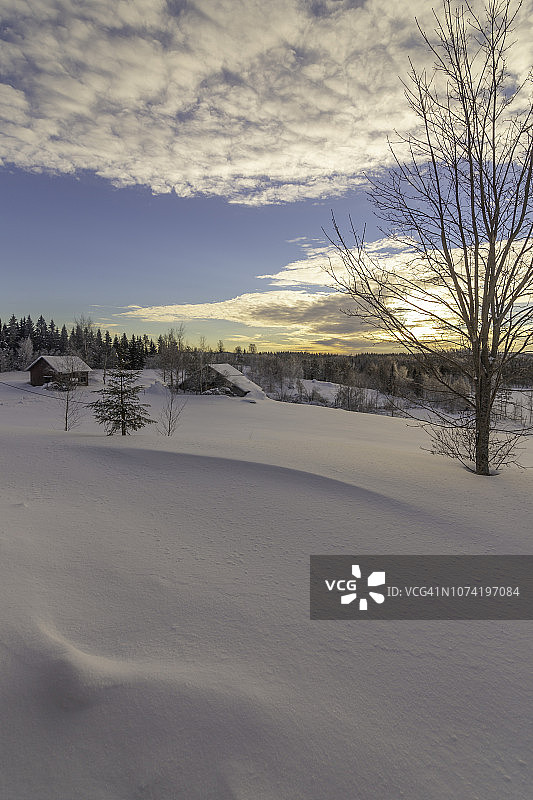冬季树木，谷仓，芬兰约恩苏图片素材