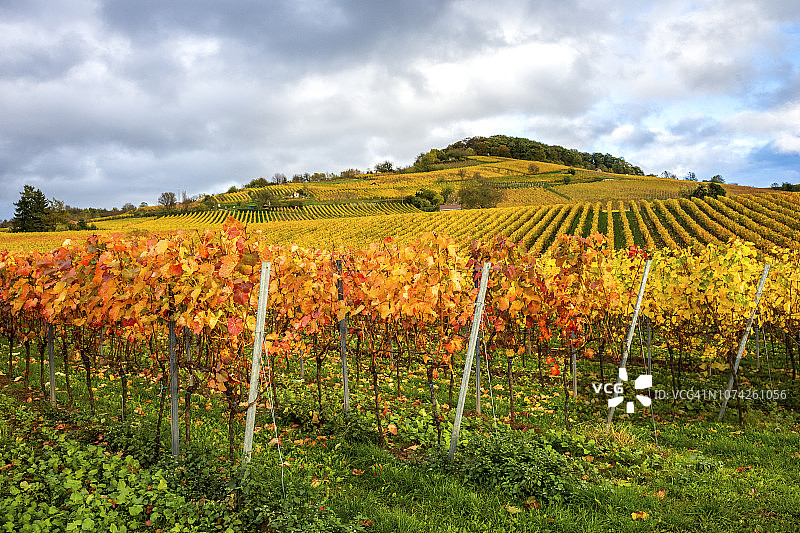 德国黑森州：本斯海姆和黑彭海姆之间的黑森山路秋景图片素材