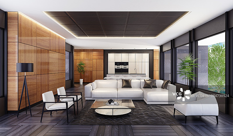 带厨房和餐厅的豪华简约开放式客厅图片素材