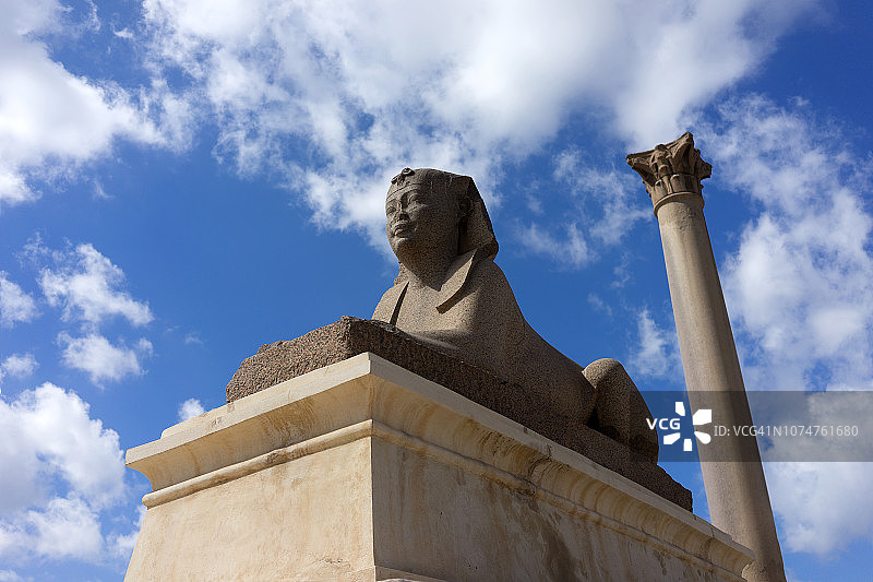 守护庞贝柱的狮身人面像，埃及亚历山大港的罗马凯旋柱图片素材