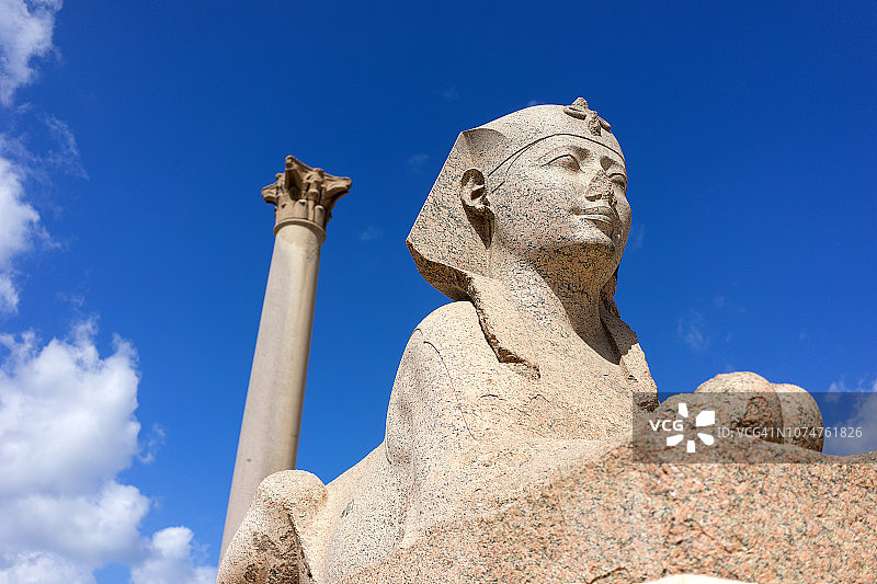 守护庞贝柱的狮身人面像，埃及亚历山大港的罗马凯旋柱图片素材