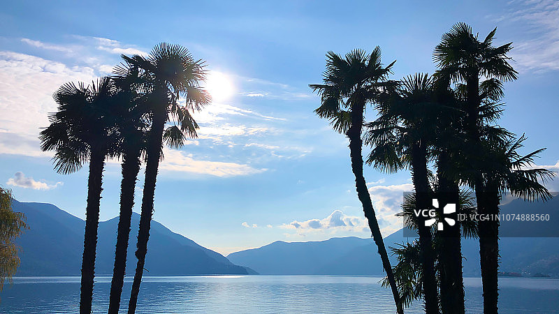 阳光和山脉下的高山湖泊棕榈树图片素材