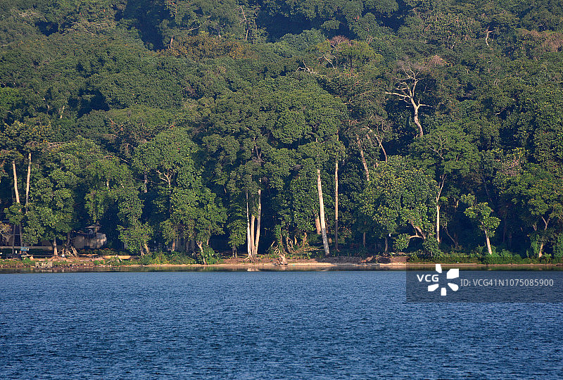 卡兰加拉岛维多利亚湖的森林海岸图片素材