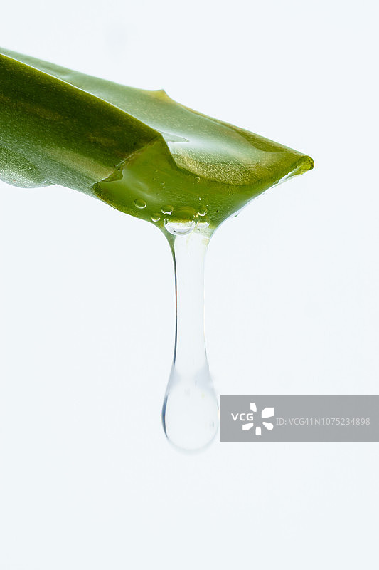 芦荟植物图片素材