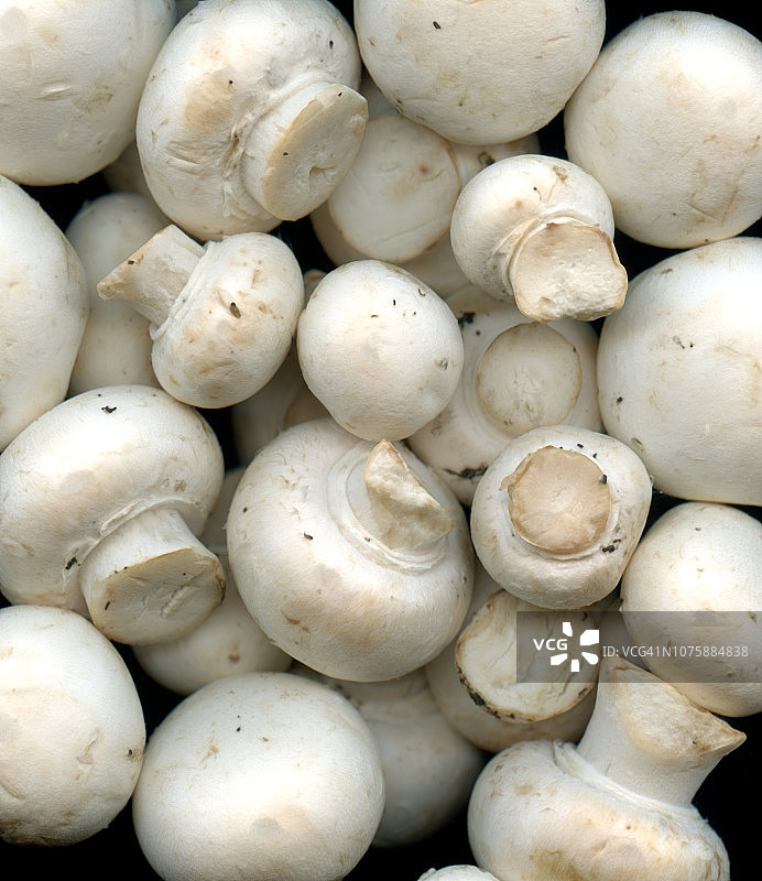 蘑菇特写按钮图片素材