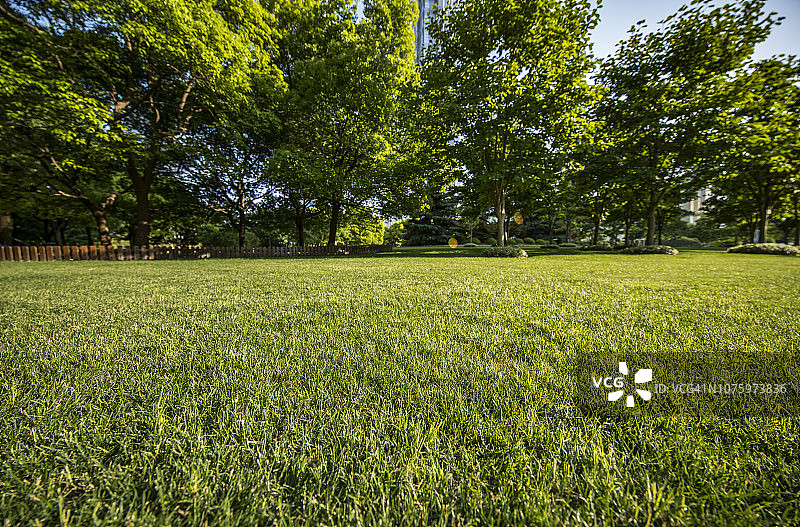 绿色草原和蓝色天空图片素材