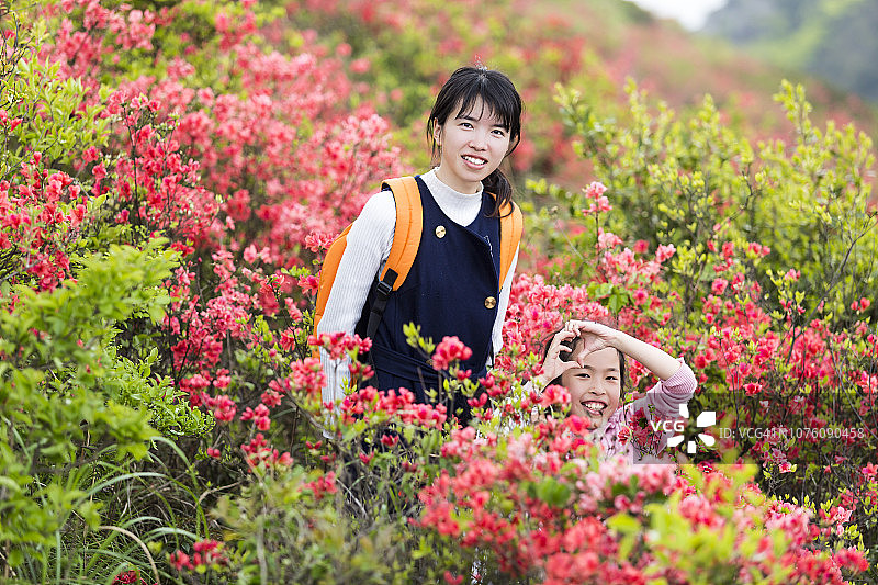 两个小女孩在杜鹃花海中欢笑图片素材