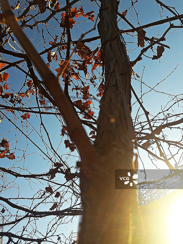 他来了图片素材