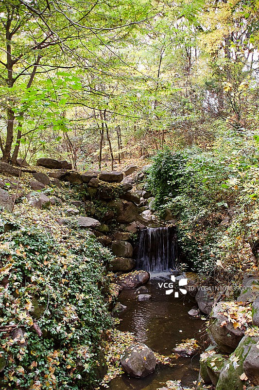 城市森林中流水瀑布旁的秋叶图片素材