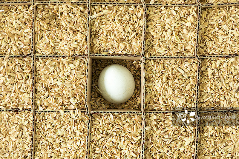 框架盒子中的鸡蛋，提供保护图片素材