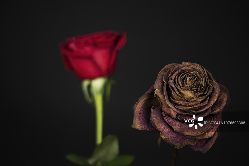 随着时间的推移图片素材