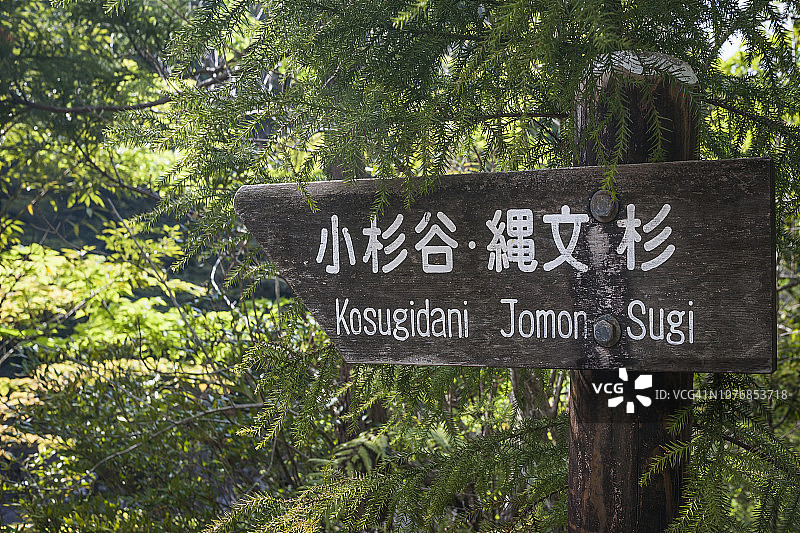 小杉谷绳文杉步道标志图片素材