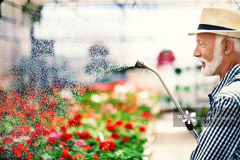 深度浇水，无需每日浇灌。图片素材