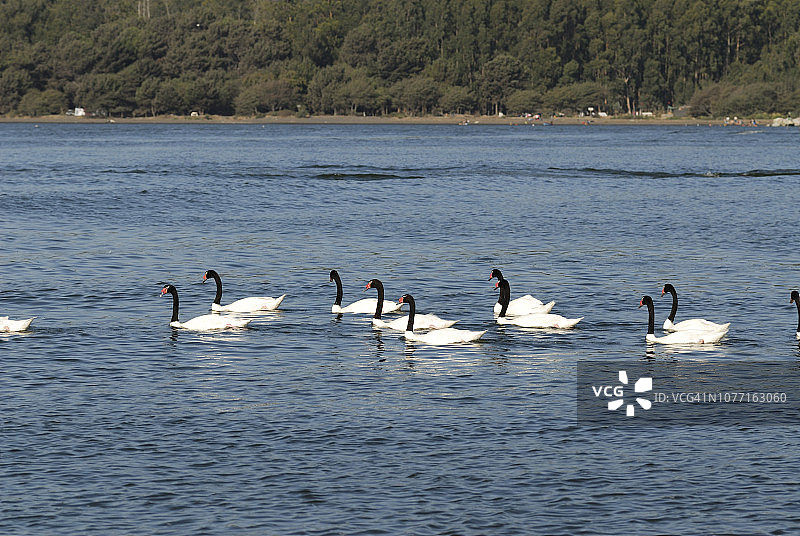 智利宪法广场景观图片素材