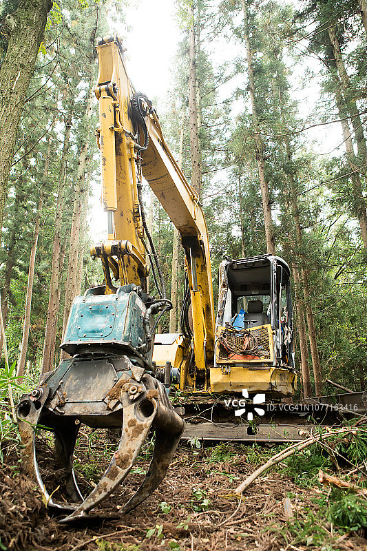 森林里的重型机械图片素材