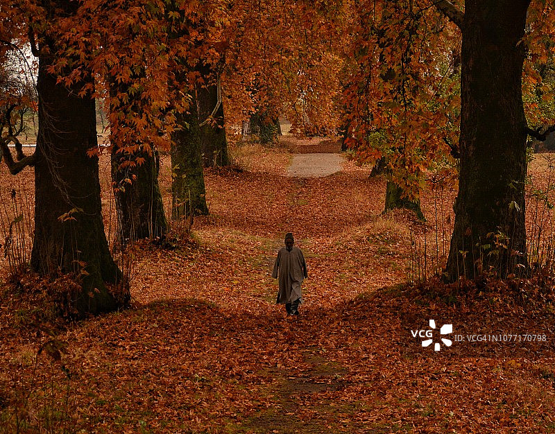 克什米尔的秋天图片素材