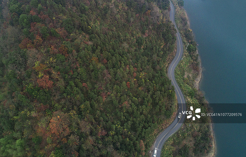 绿色森林中的弯曲道路俯视图图片素材